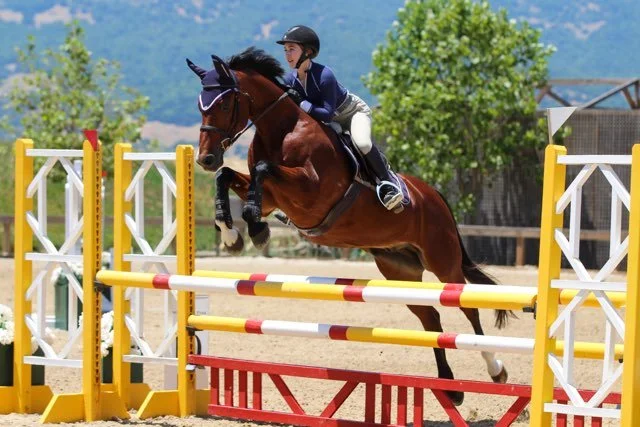 Strides Riding Academy.jpg