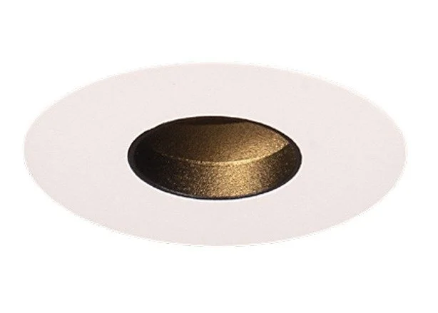 A gold or bronze tablet or pill on a white circular background