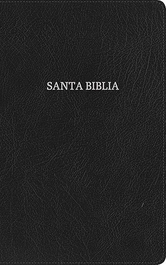 Biblia Ultrafina Piel sintética negra (NVI)