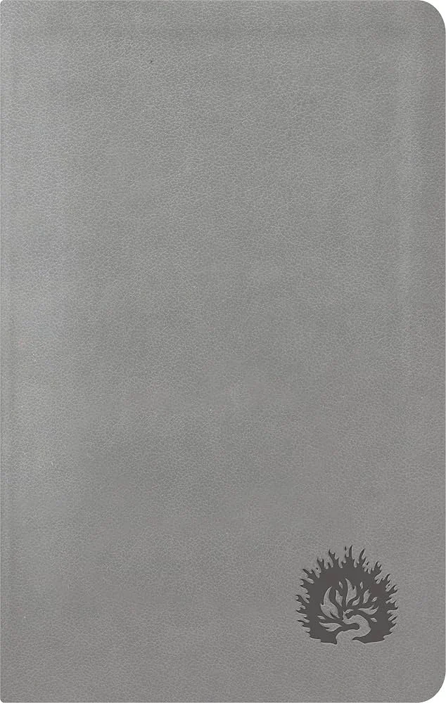 81d+IlsrzhL._AC_UF1000,1000_QL80_.jpg