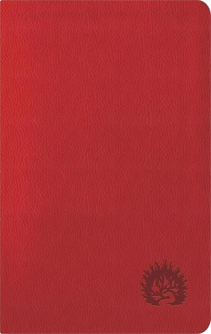 9781642896732.jpg