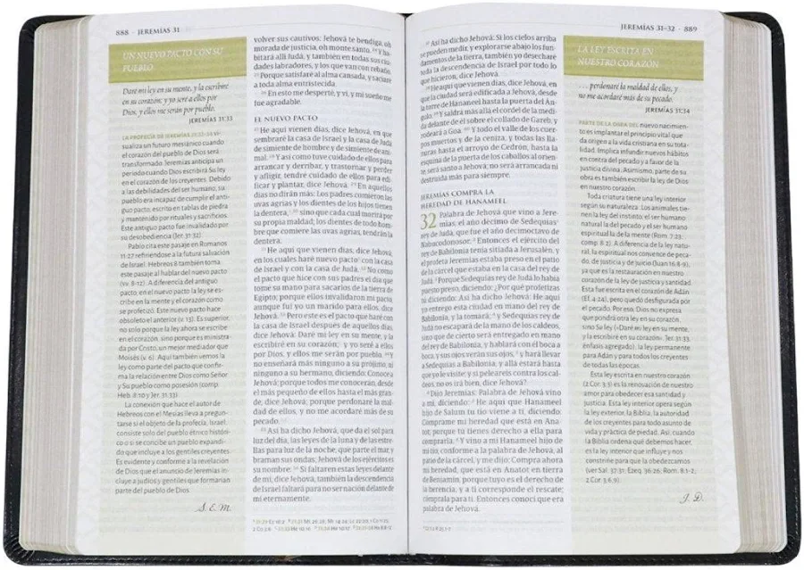 Vista abierta de la Biblia de estudio temática Miguel Núñez RVR60