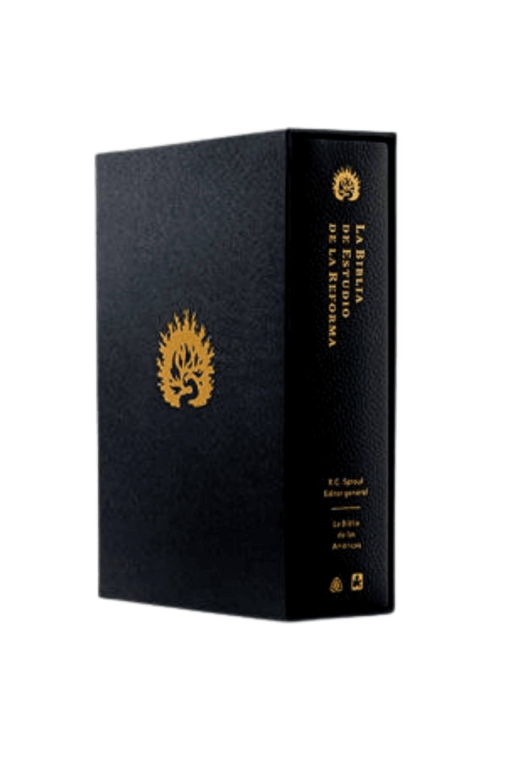 LBLA Estudio la Reforma - Premium Negro.png