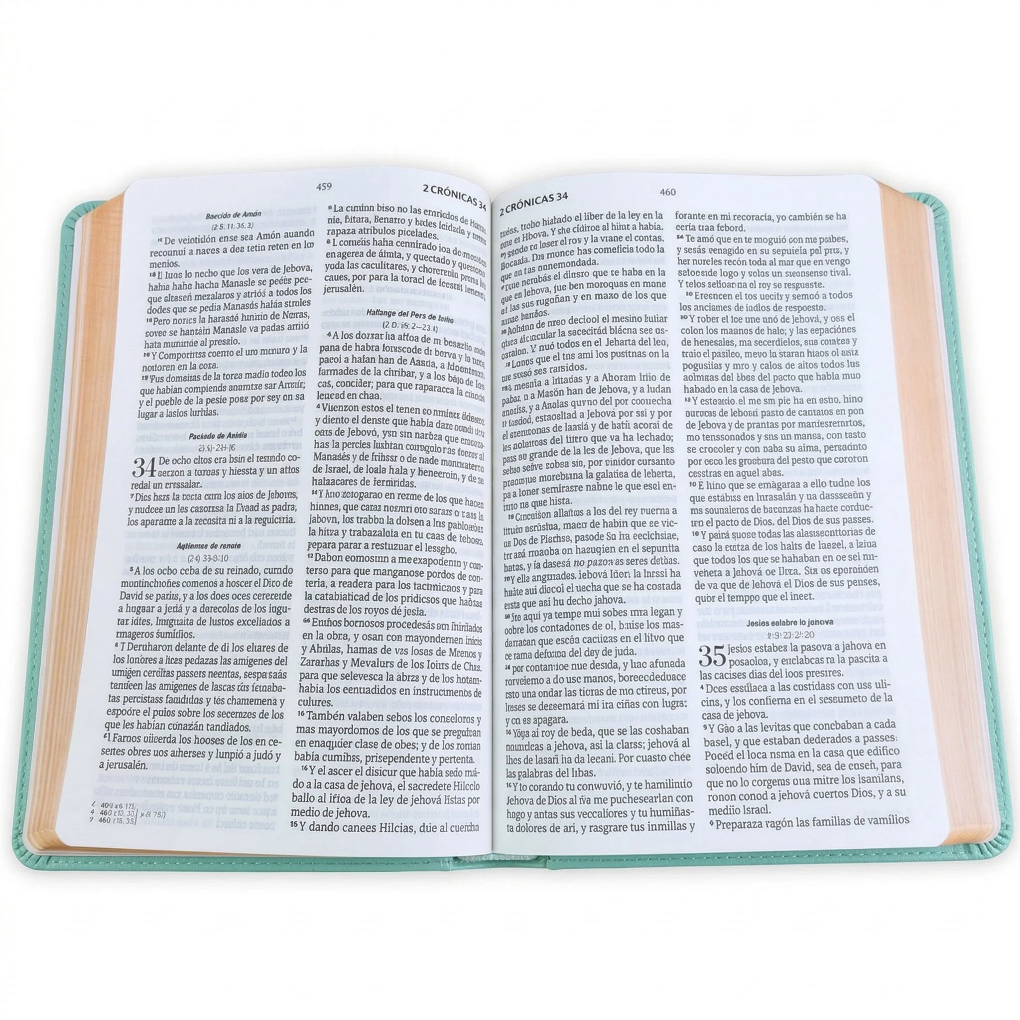 Vista abierta alternativa de la Biblia para obsequios y premios RVR60