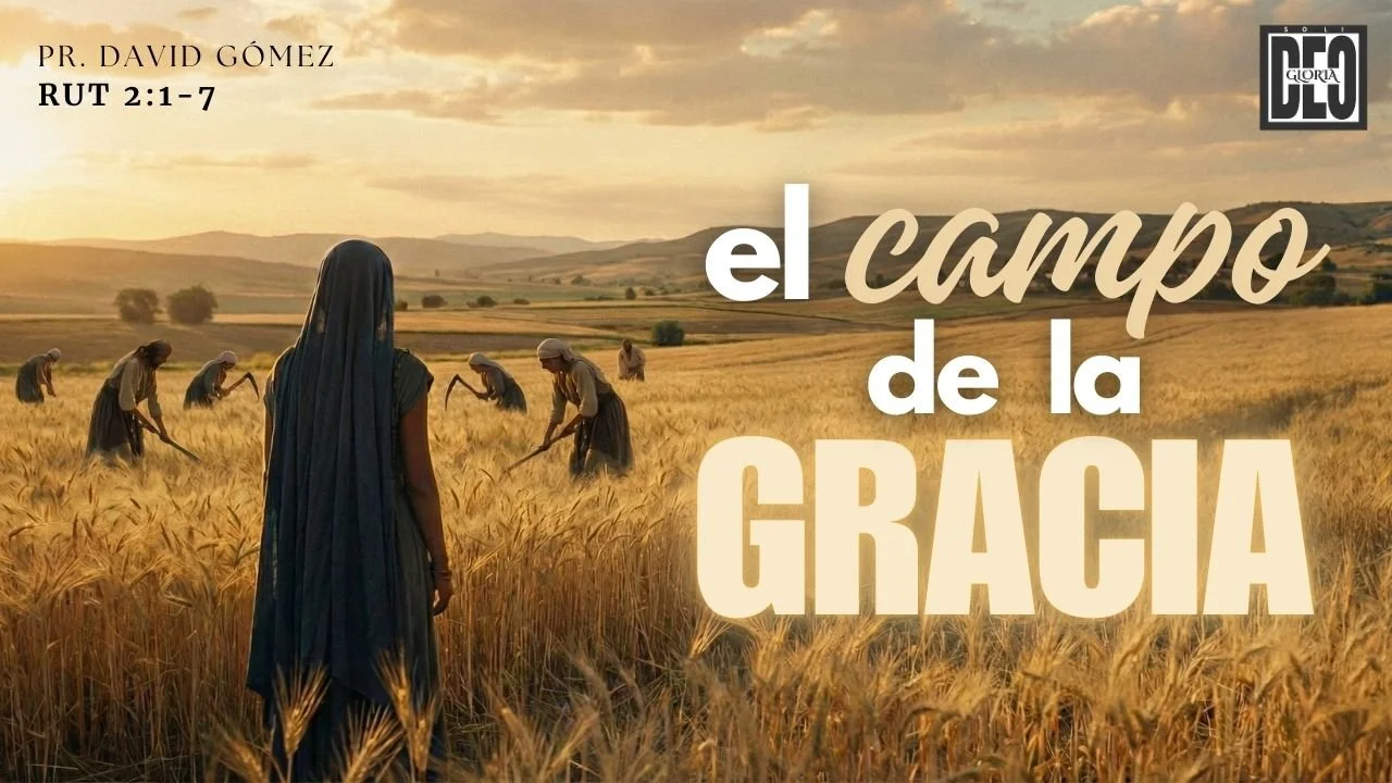 El campo de la gracia en Rut 2:1-7. Serie de sermones: Rut y su pariente más cercano. Predicación de Iglesia Soli Deo Gloria del pastor David Gómez. #ISDG