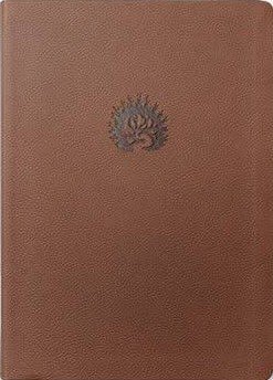 Portada de la Biblia de estudio de la Reforma LBLA marrón