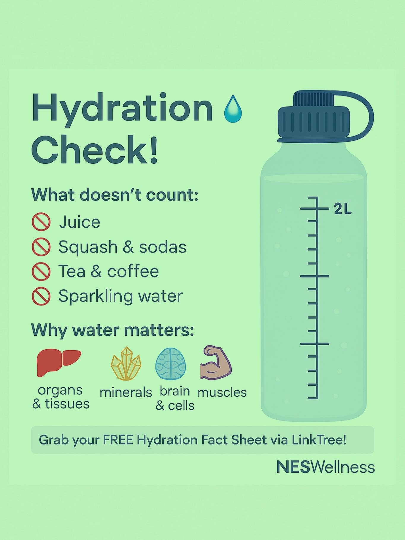 Sunday Tip: Hydration Check! 💧

Are you really drinking enough water? I tell my clients to aim for 2 litres of plain, still water daily (more if you&rsquo;re active or it&rsquo;s hot).

💦 What doesn&rsquo;t count:

Juice &ndash; spikes blood sugar
