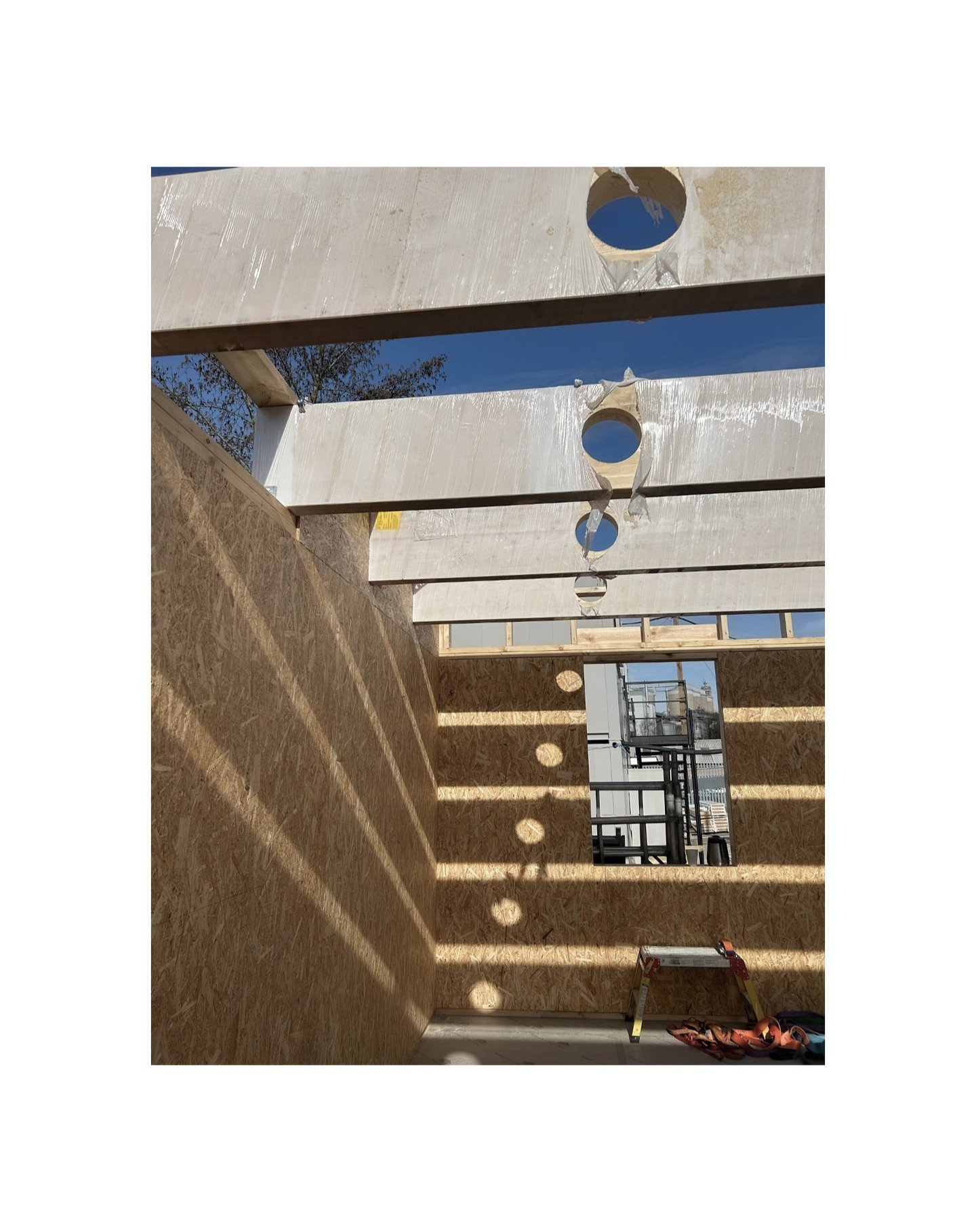 Glulams + service holes + sun at JSA HQ

☀️☀️☀️