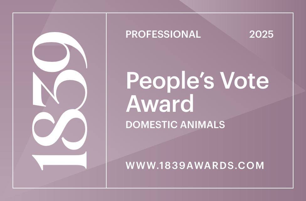 I’m really pleased to announce that I’m an Award Winning Dog Photographer