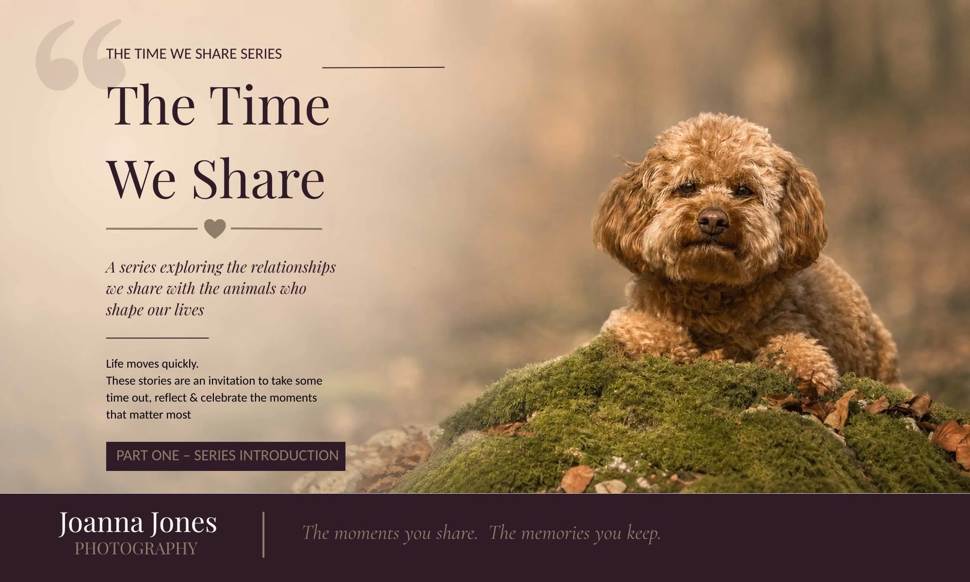 The Time We Share - Why I’m Writing This Series