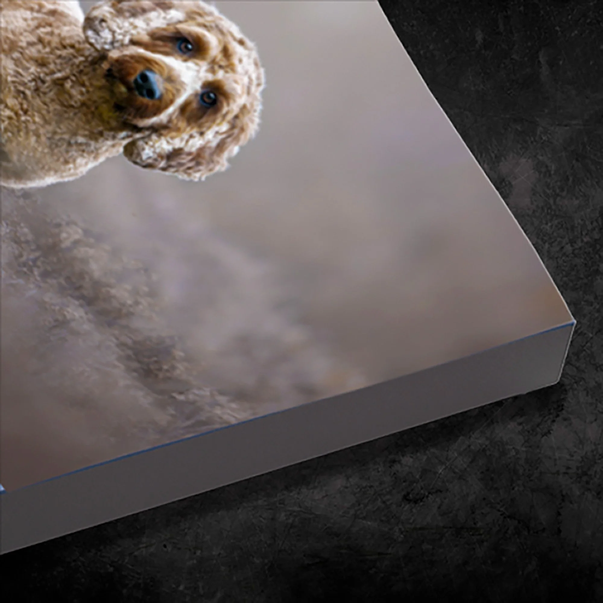 Gallery Block-Web.jpg