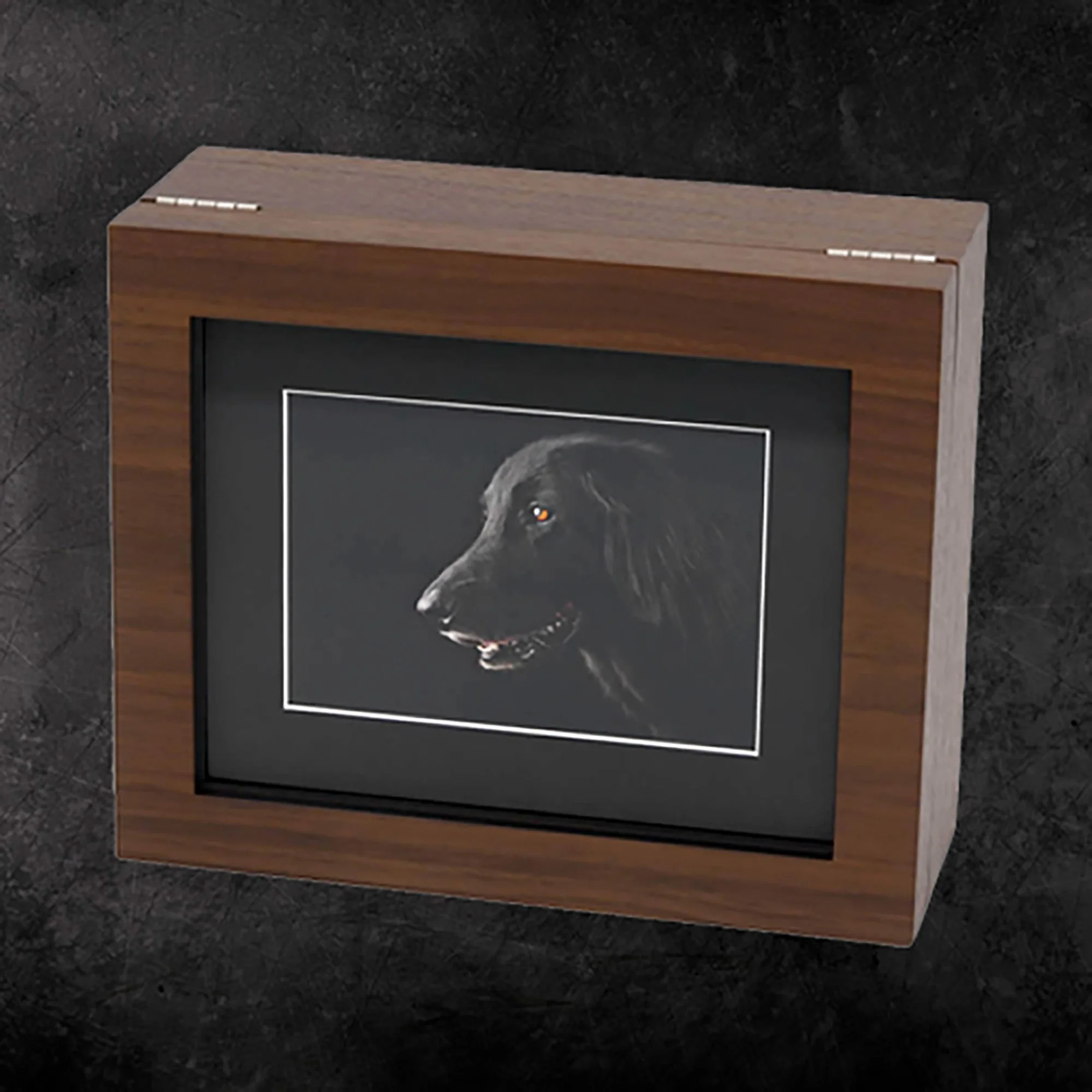 Folio Box.jpg