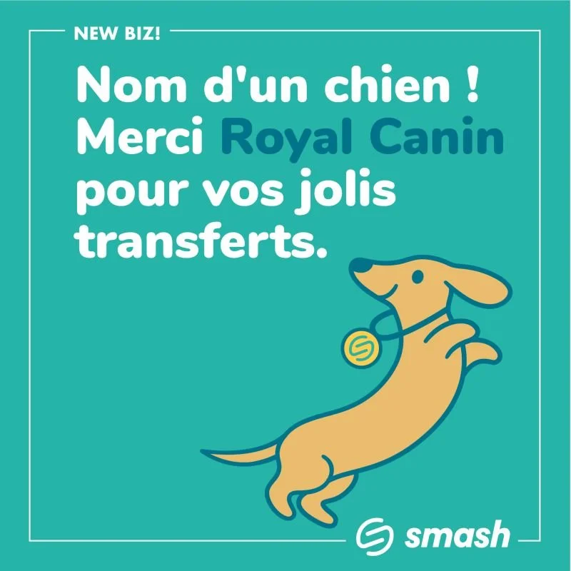 royal-canin-smash-envoi-fichiers-volumineux.jpg