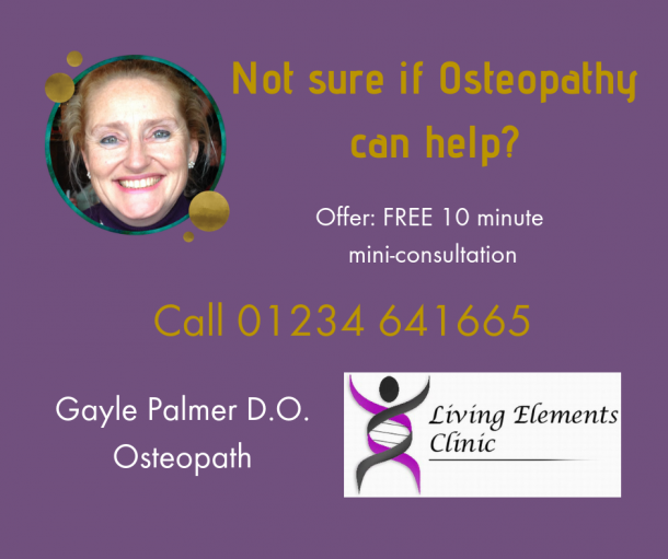 Help and Advice from Gayle Palmer