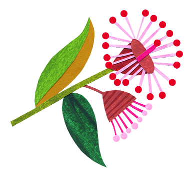 wattle-flower-2 copy.png
