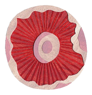 mushroom-3_copy-removebg-preview.png