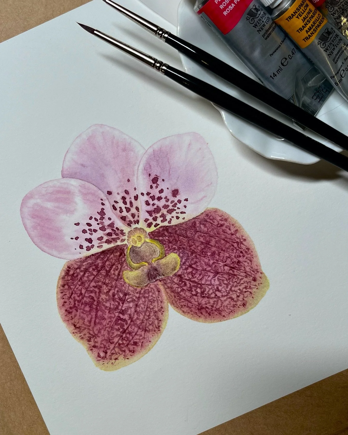 A first attempt at capturing the Waling-Waling, a remarkable orchid native to the Philippines, my home country.

Recently, I&rsquo;ve been exploring watercolour - not professionally, just for myself. It&rsquo;s a new medium for me, one I didn&rsquo;t