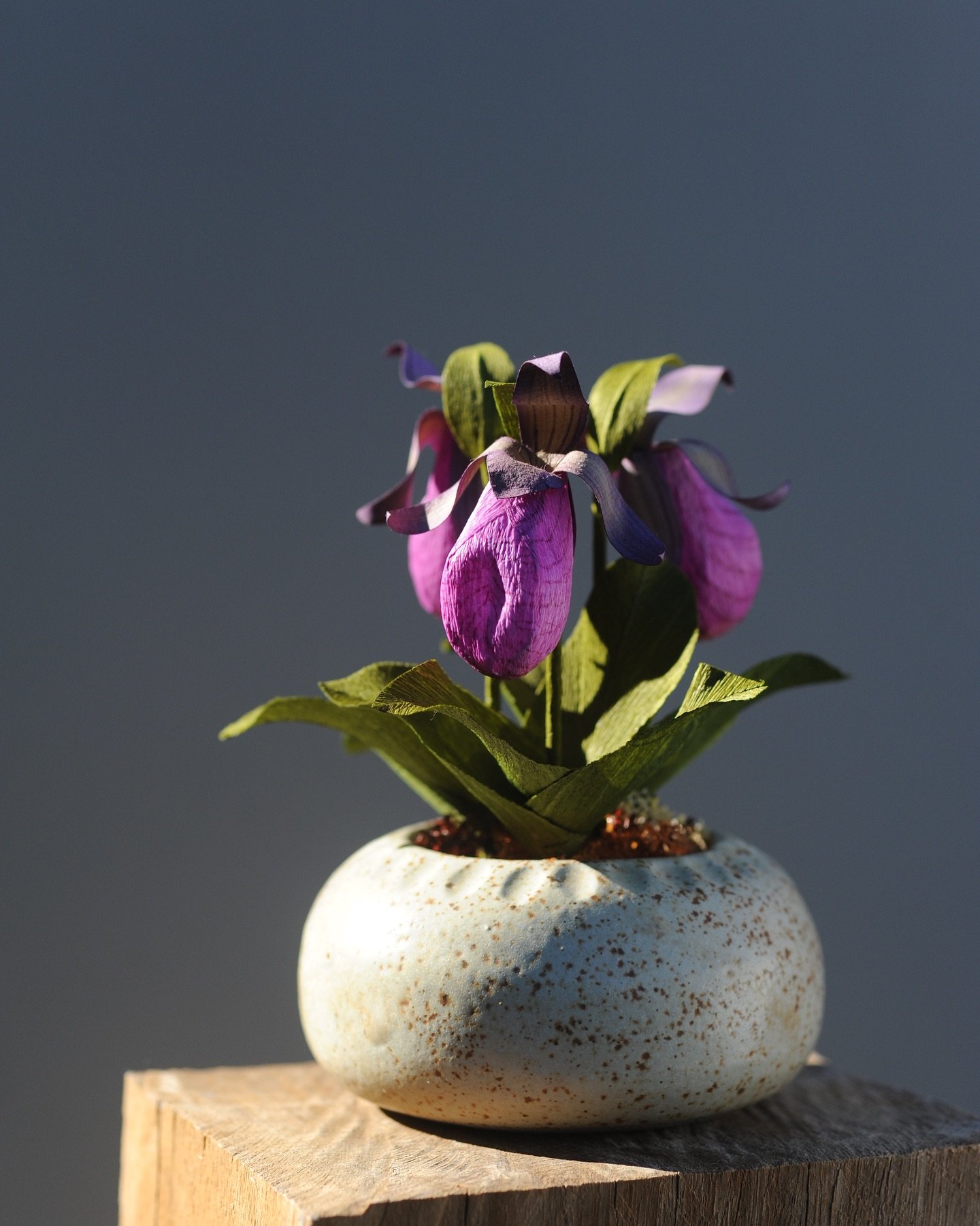 Some flowers feel heavier in the hand, not because they&rsquo;re physically heavier, but because of the meaning they carry.

These paper pink lady slippers were created as a tribute to a powerful moment in legislative history. 

Commissioned by a New