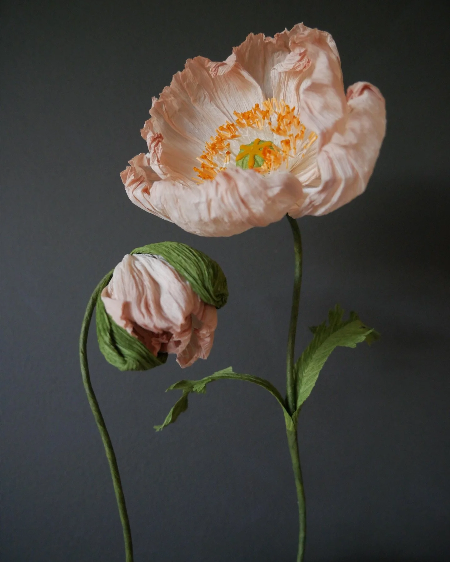 I&rsquo;m running a crepe paper poppy workshop tomorrow with the sweet Sonia at Little Lane.

These gatherings are never about getting it perfect, just taking your time, making something by hand, and enjoying the process with lovely company.

If you&