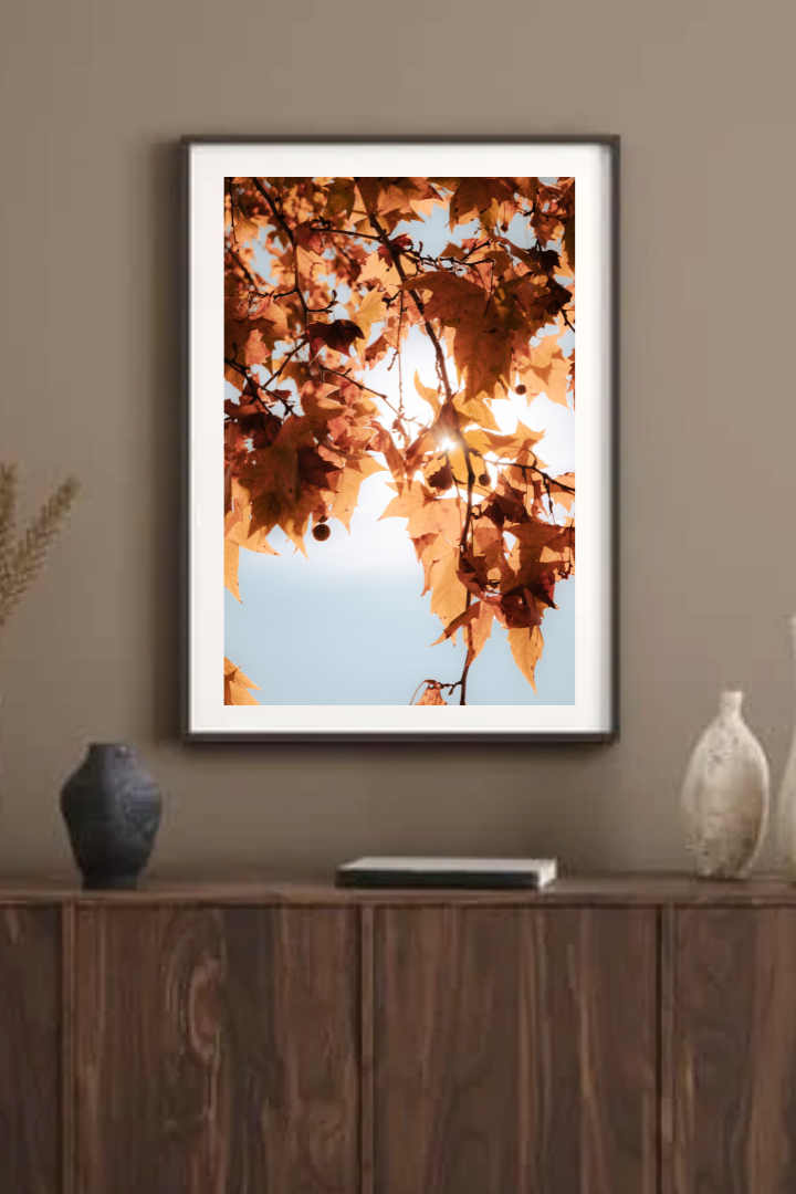 Progetto senza titolo (13).png