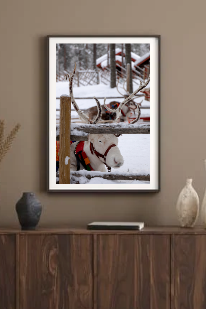 Progetto senza titolo (10).png