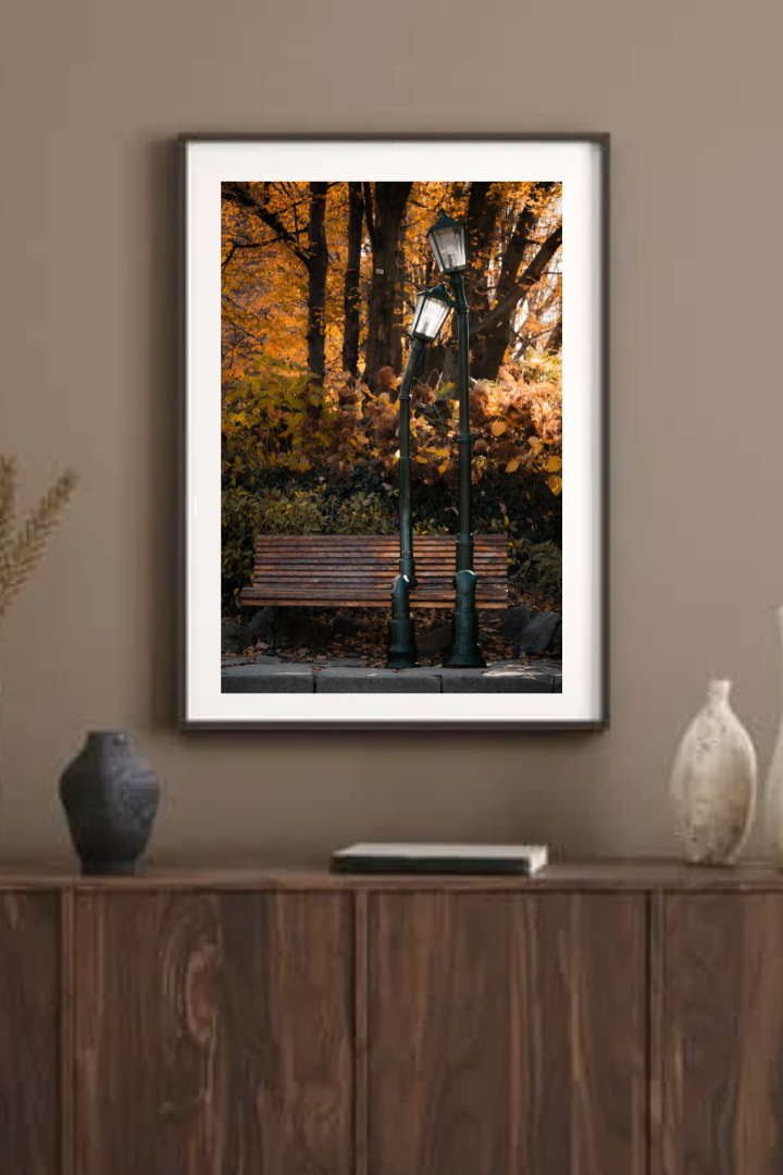 Progetto senza titolo (14).png