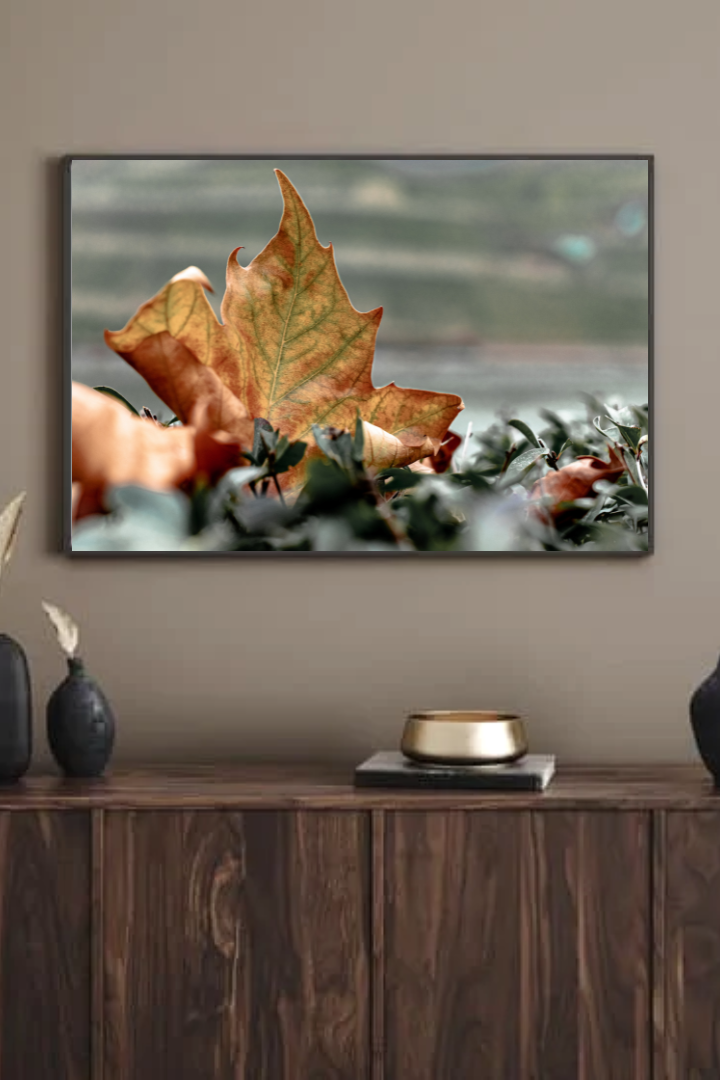 Progetto senza titolo (19).png