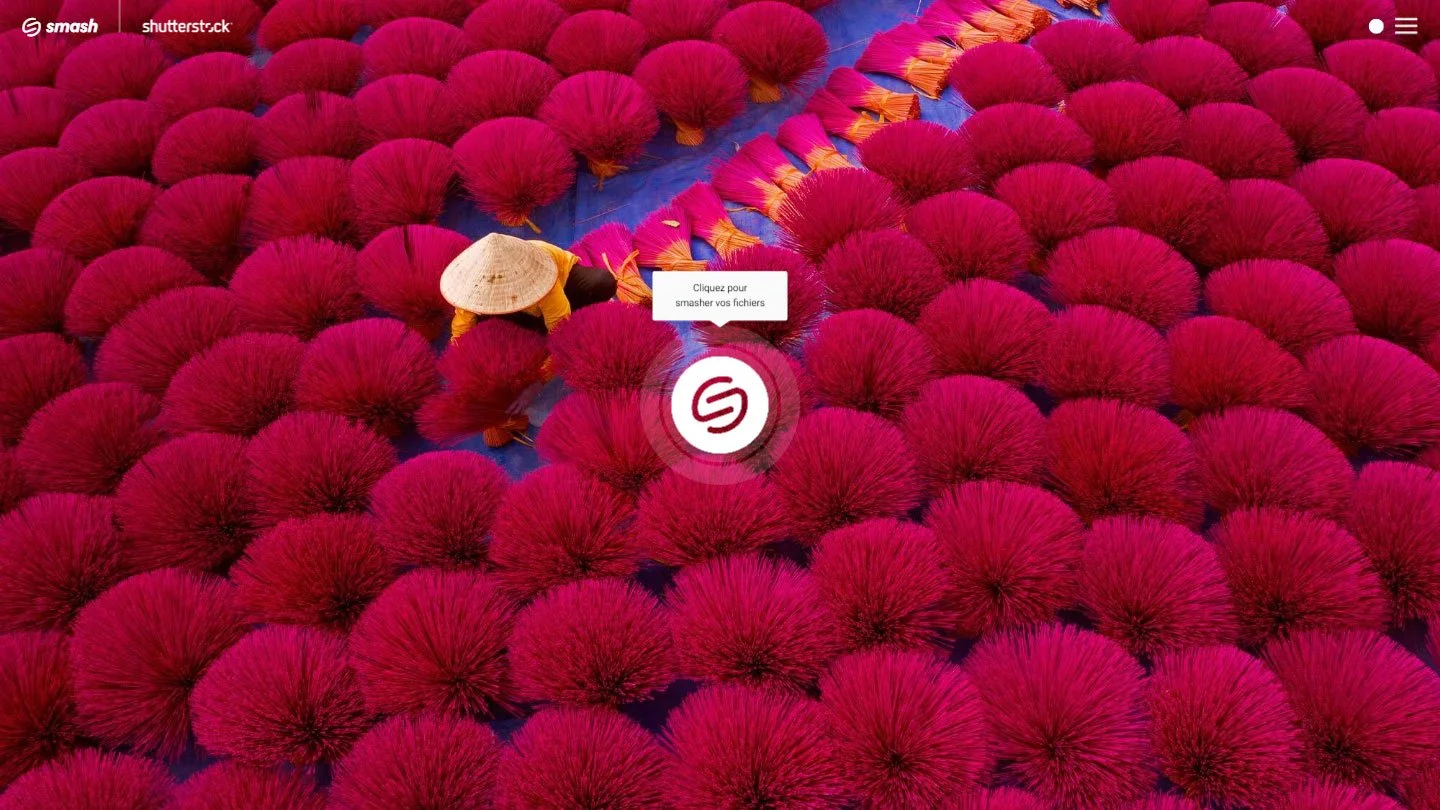 Shutterstock