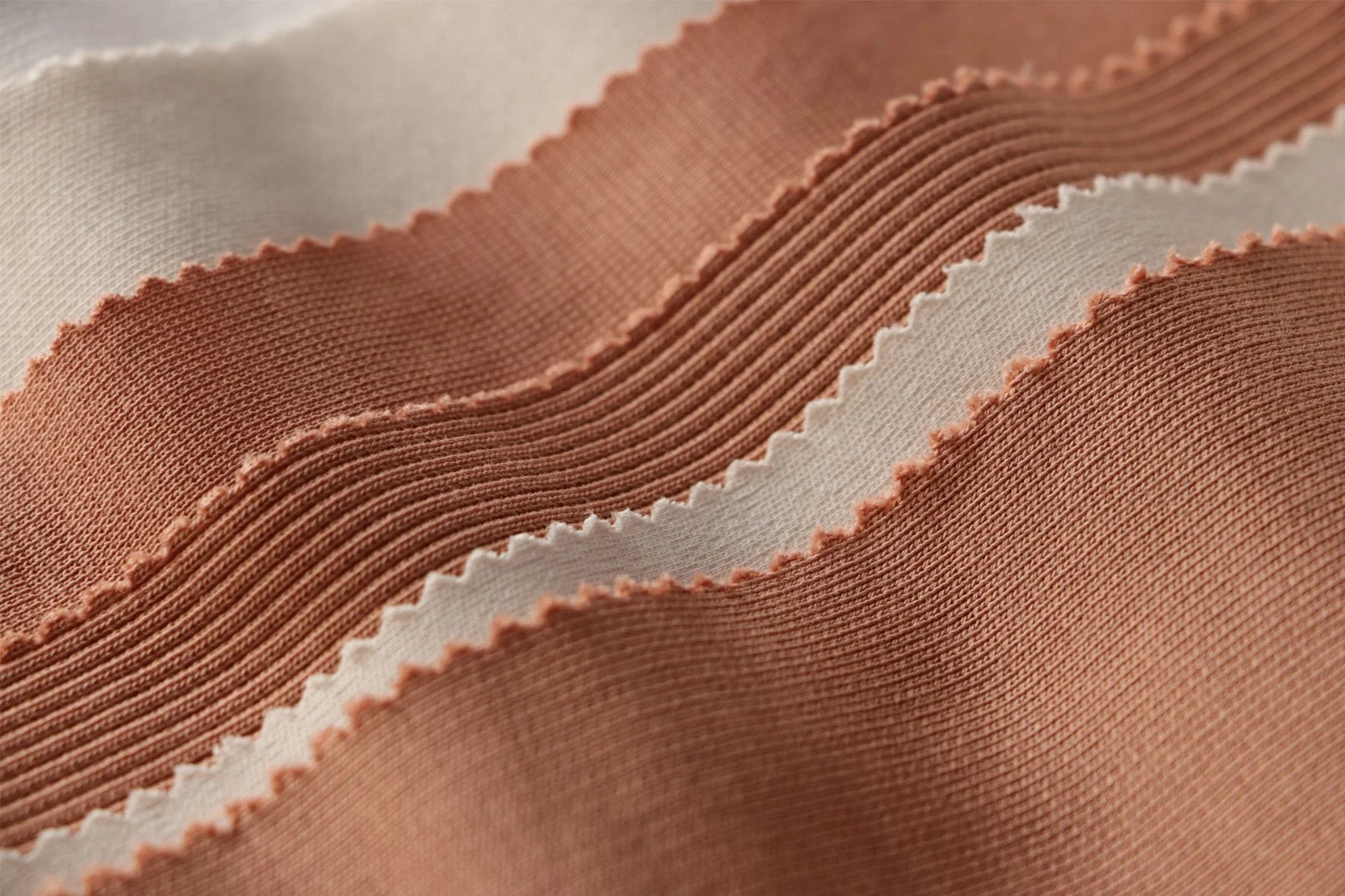 Regenerative-Cotton.jpg