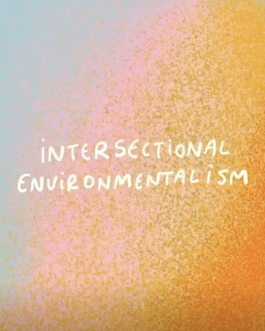 intersectional-environmentalist-instagram-6.jpg