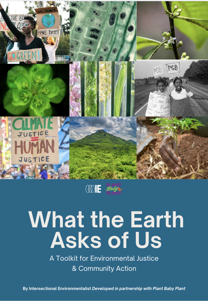 What The Earth Asks of US: A toolkit on EJ Action 