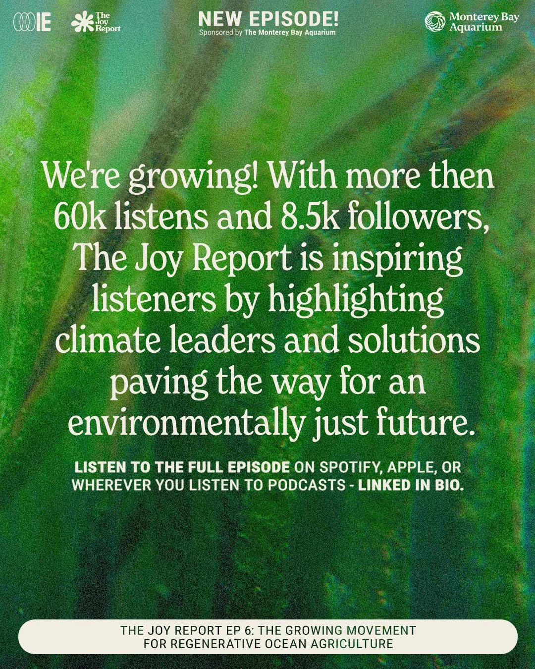 Listen to The Joy Report's Recent Episode: The Growing Movement for Regenerative Ocean Agriculture