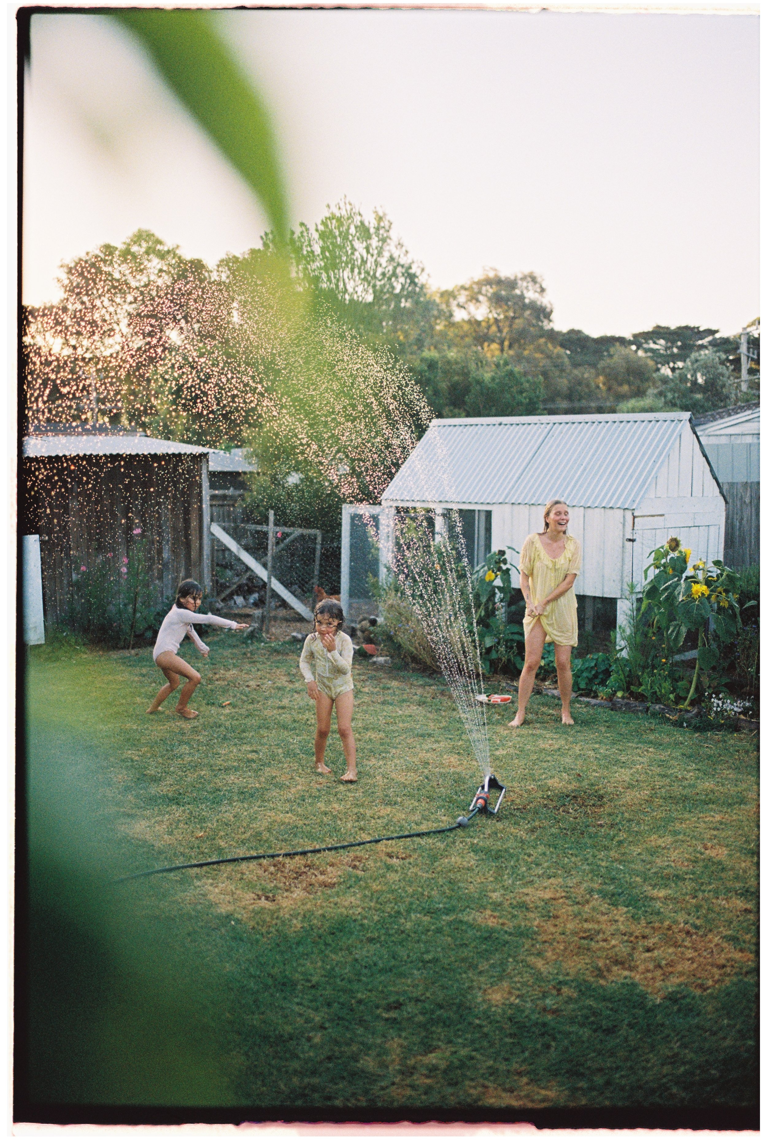Portra 800 10000041.jpg