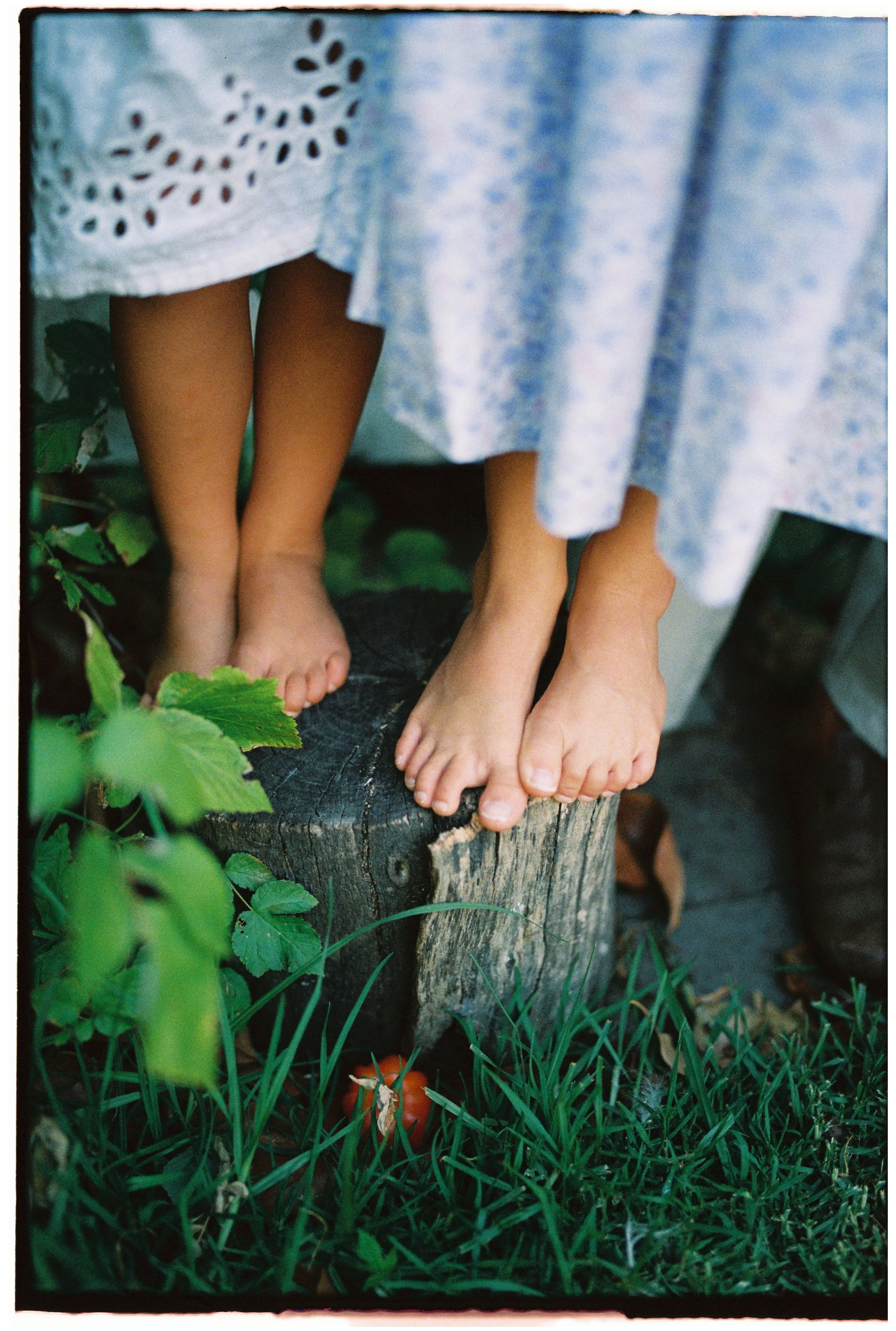 Portra 800 30000037-2.jpg