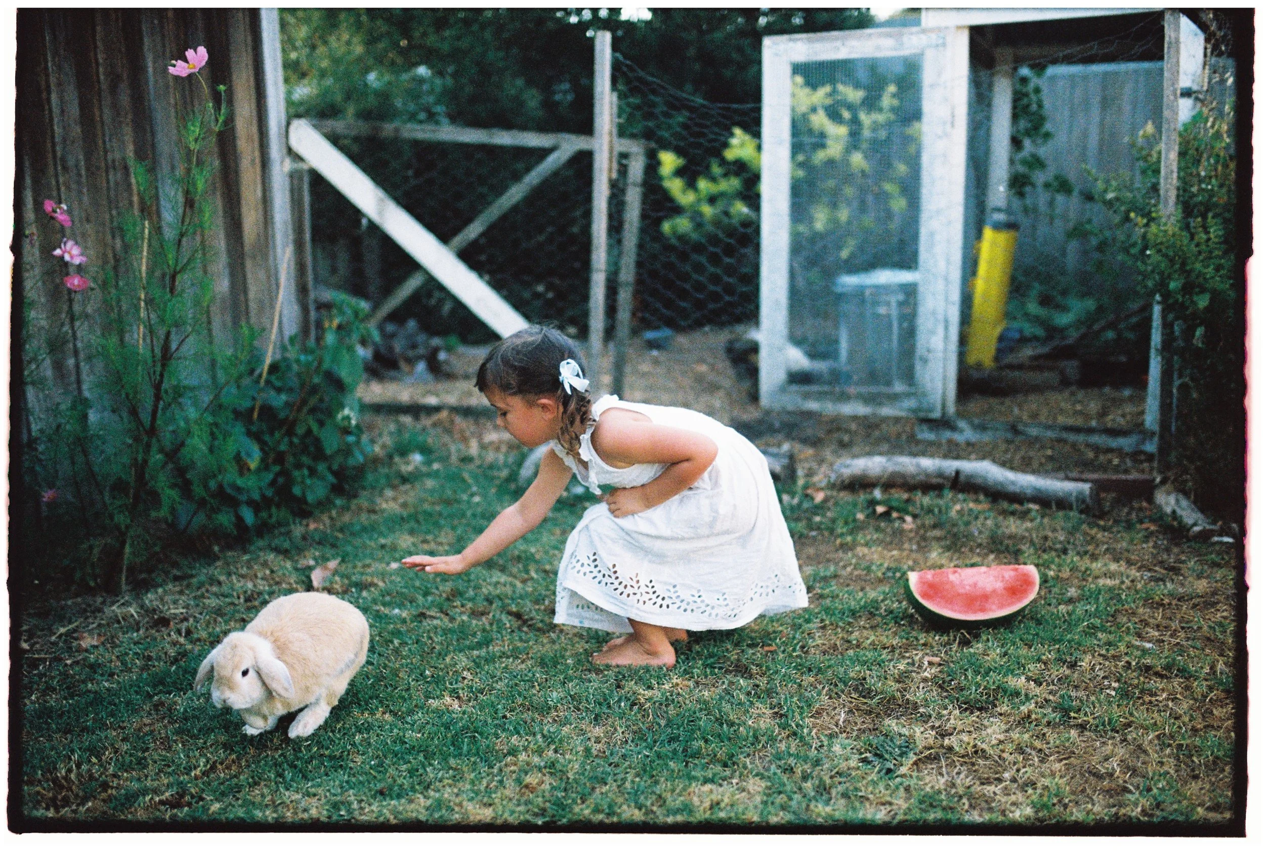 Portra 800 30000058.jpg