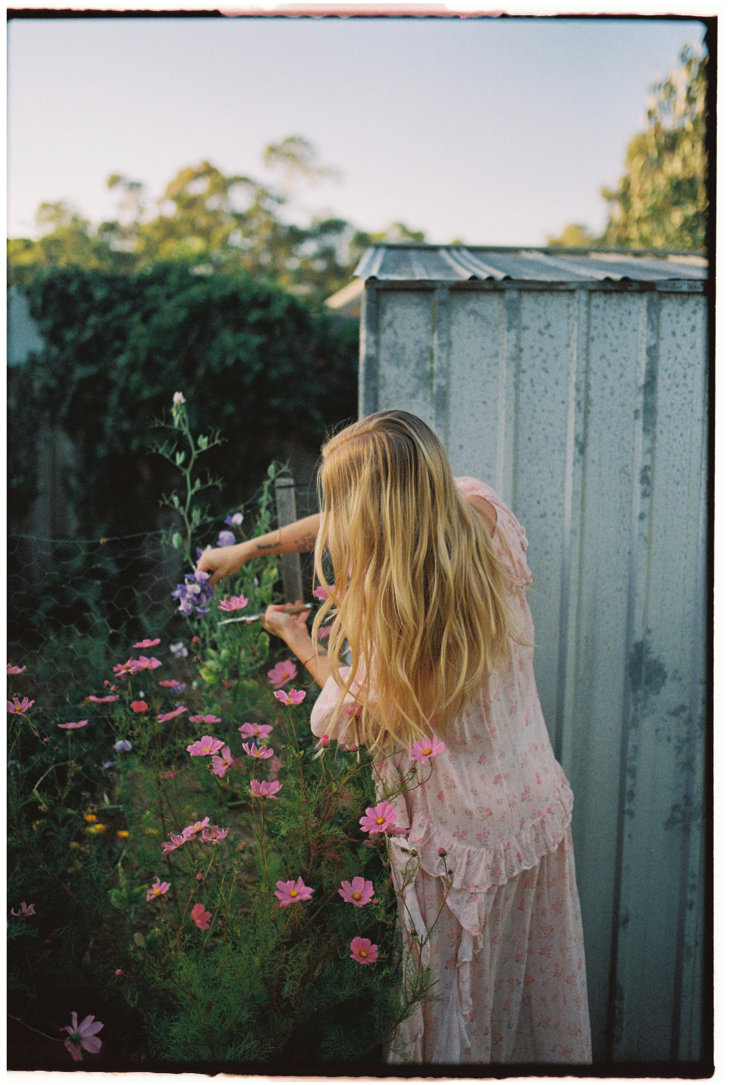 Portra 800 10000072.jpg