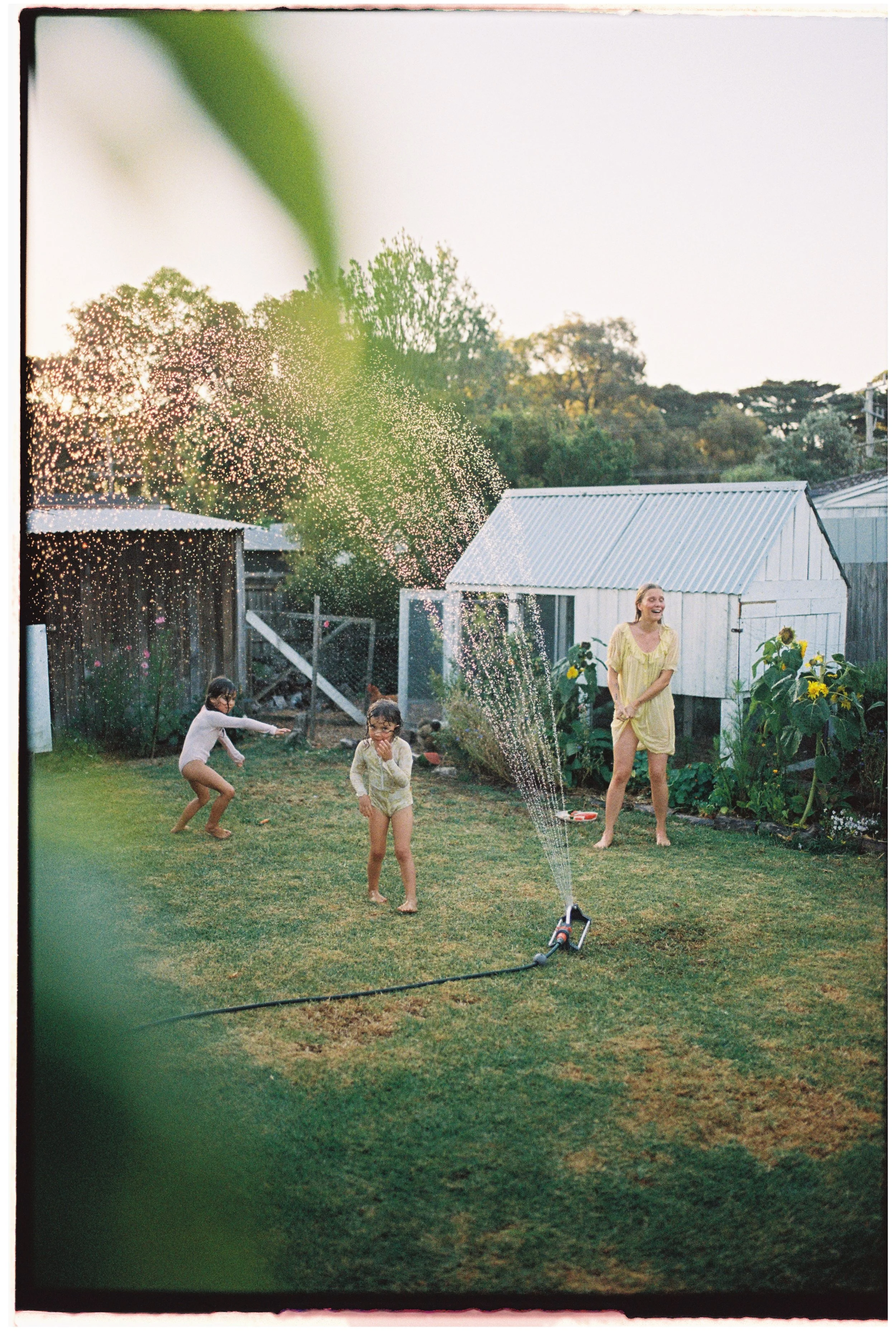 Portra 800 10000041.jpg