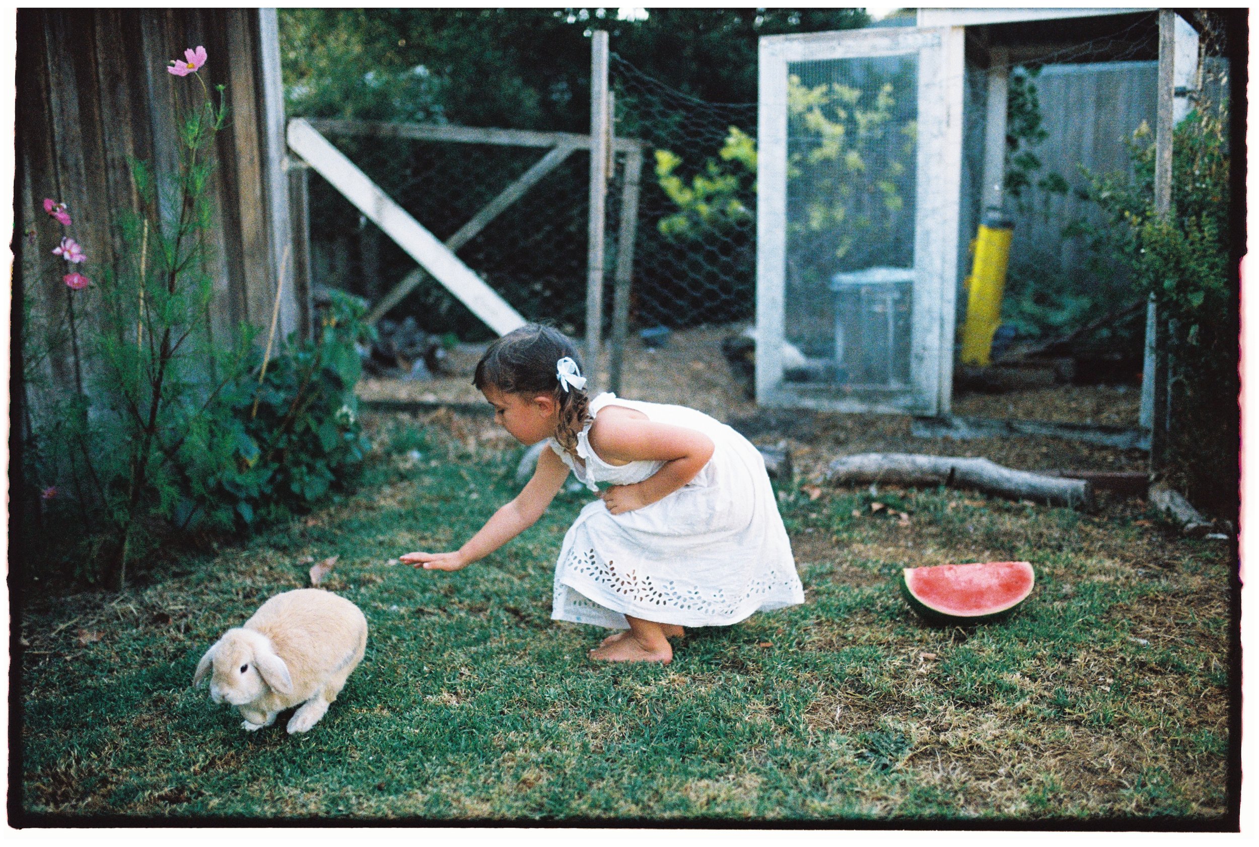 Portra 800 30000058.jpg