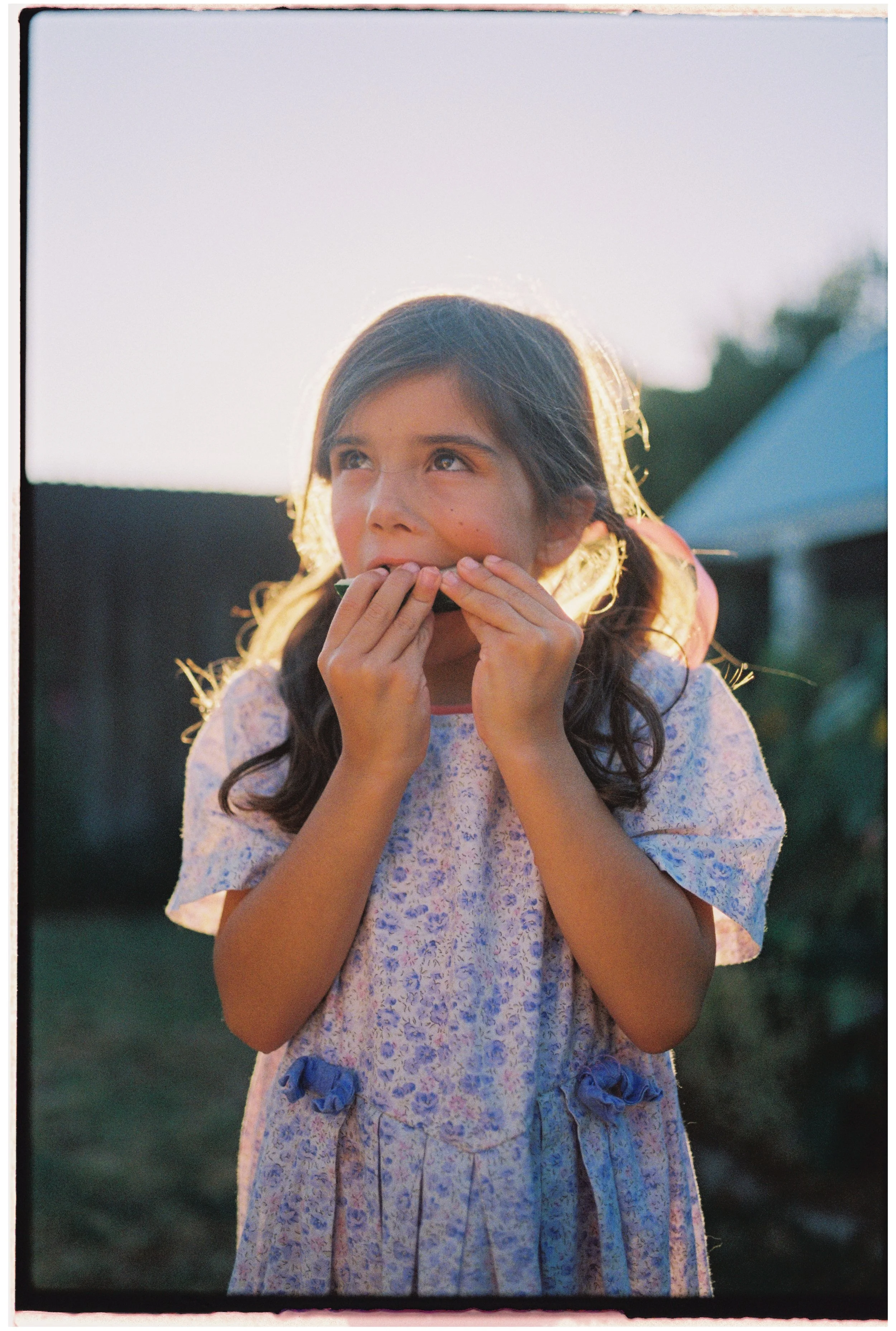 Portra 800 10000065.jpg