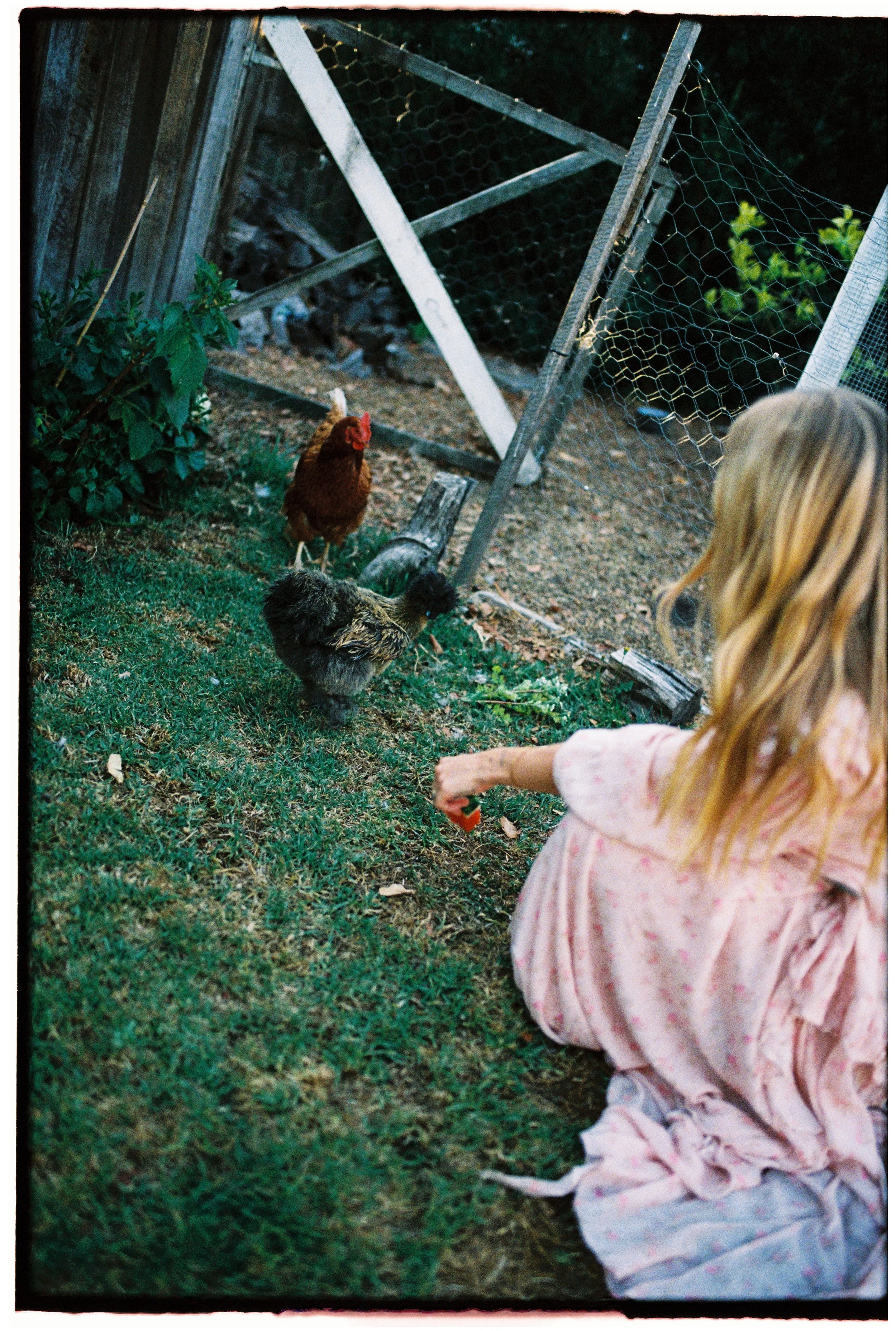 Portra 800 30000044.jpg