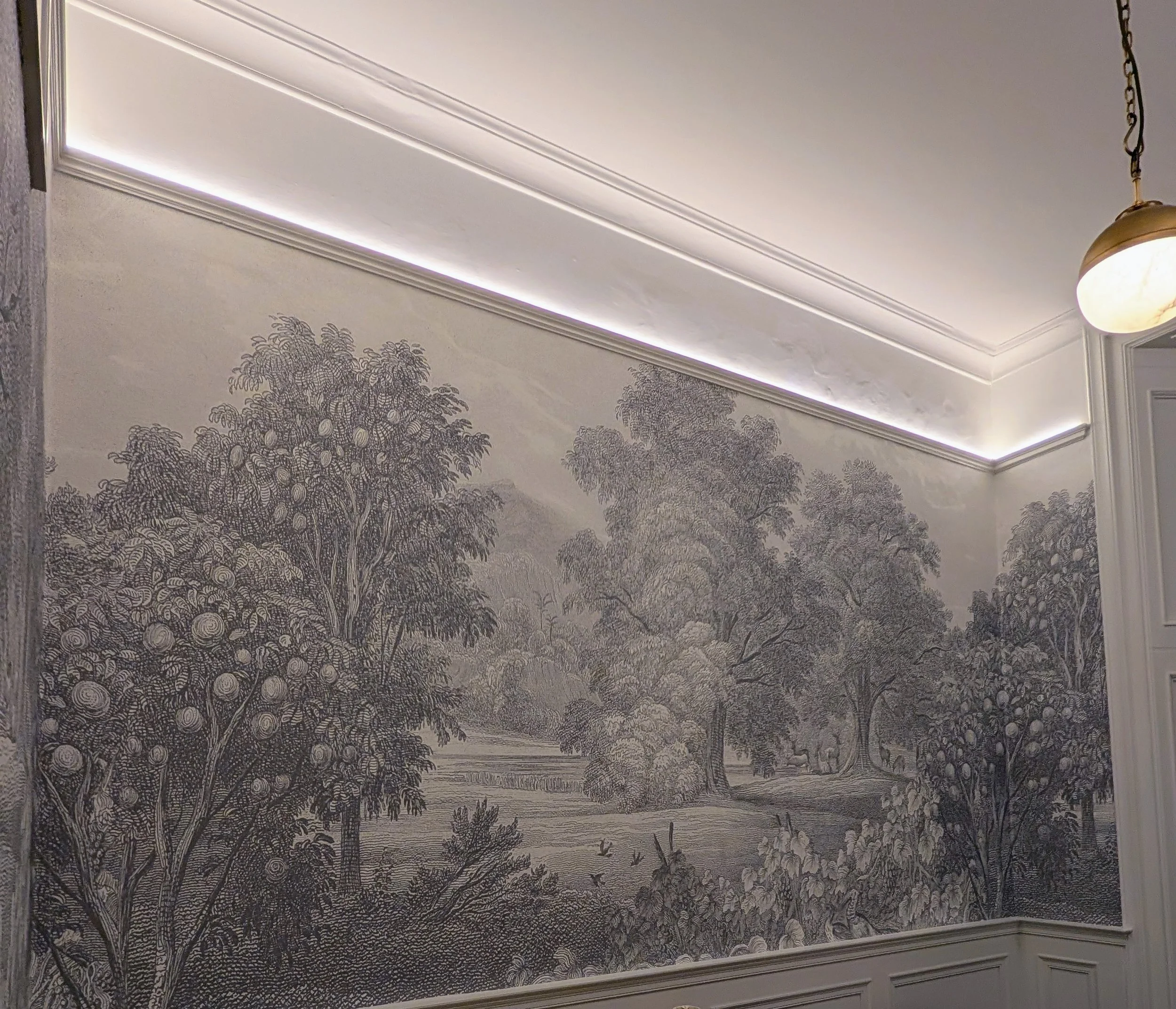 Luxury bespoke Wall Mural by Woodchip and Magnolia