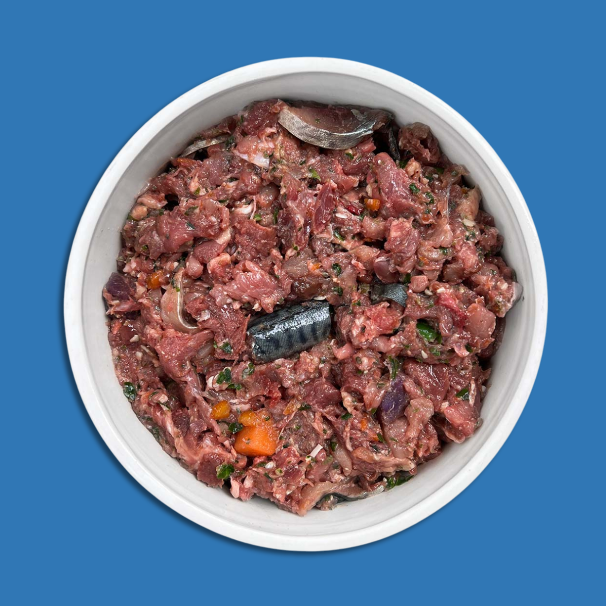 Untitled design - 2025-10-24T153128.097.png
