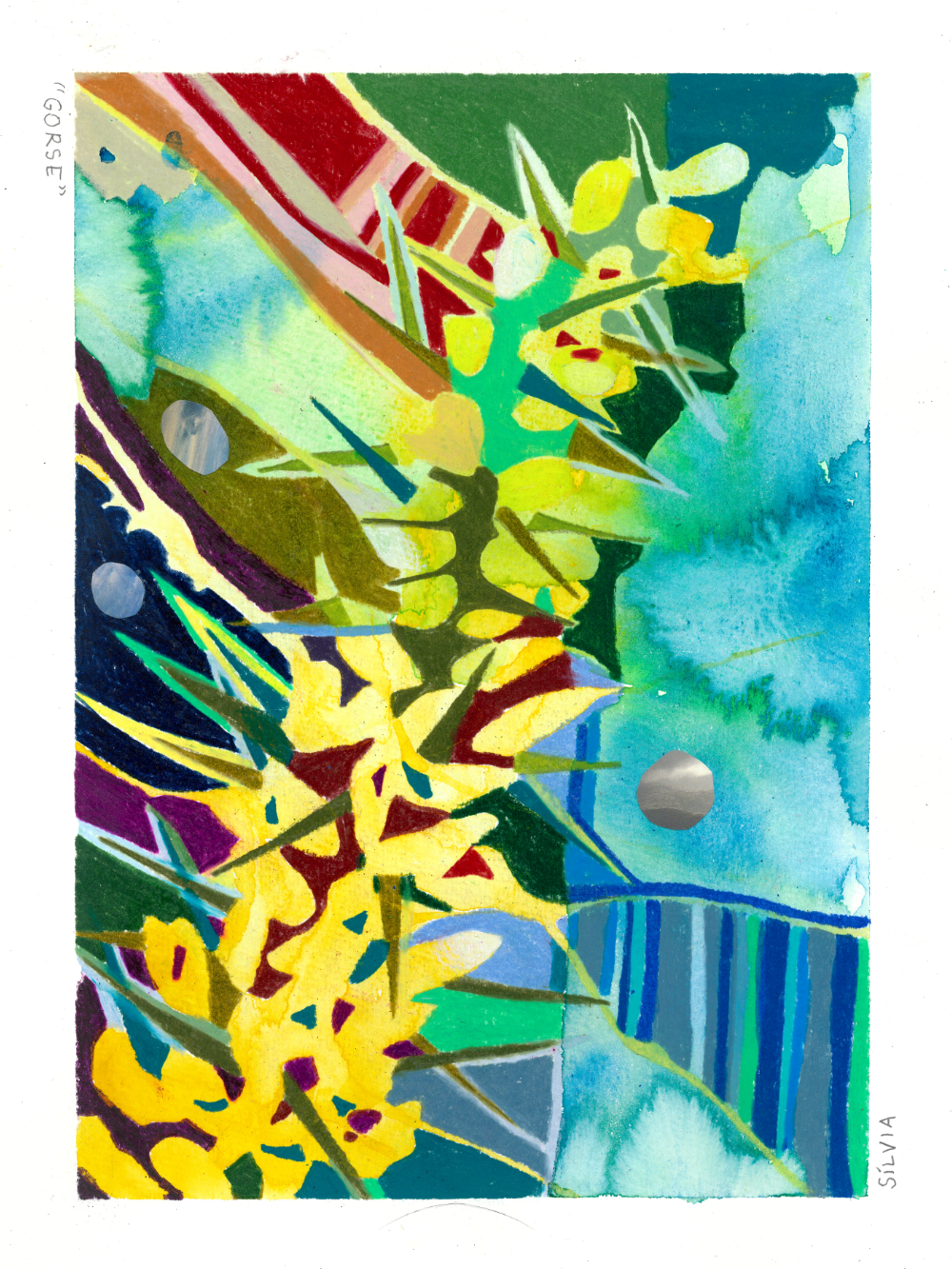 gorse-portfolio.png