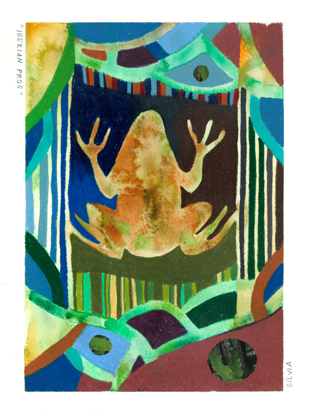iberianfrog-portfolio.png