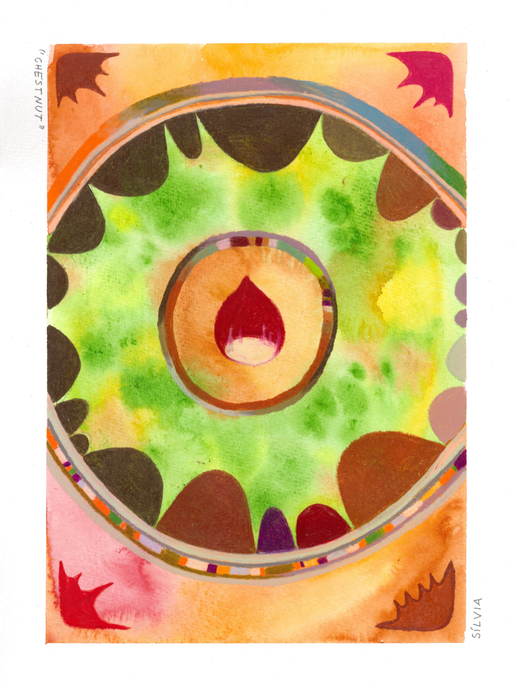 chestnut-portfolio.png