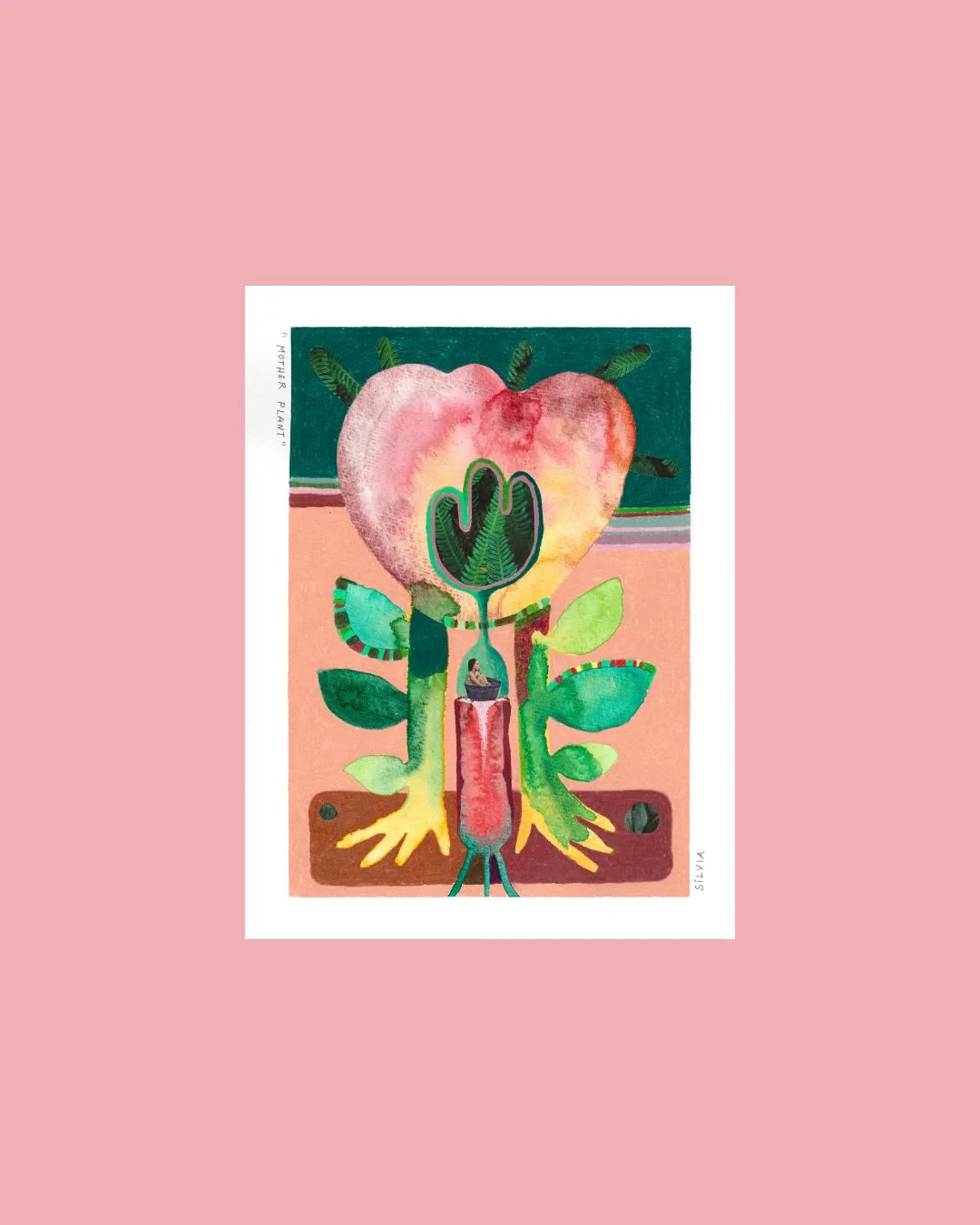 mother-plant-cover-sale.jpg