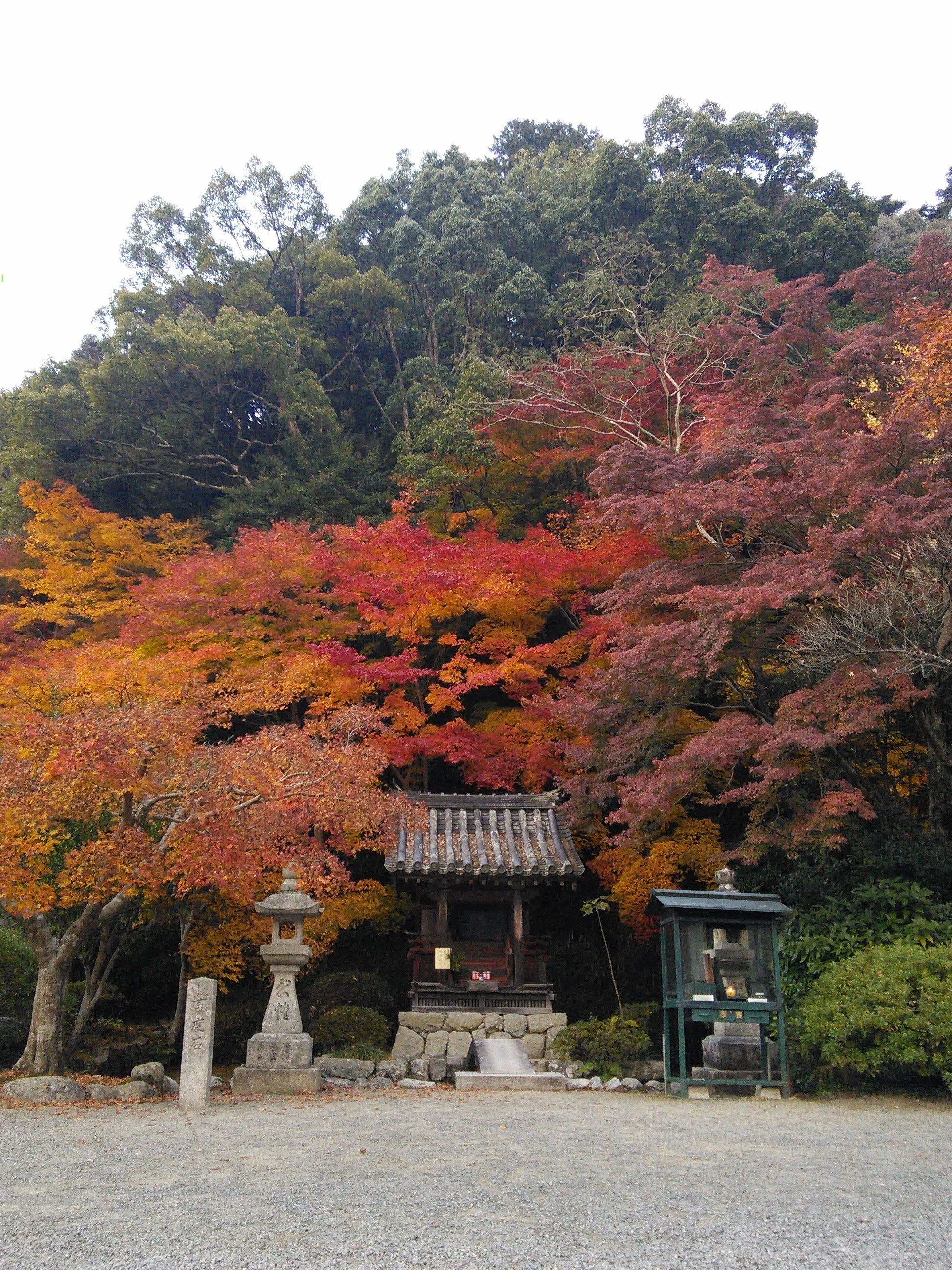 aphoto_008.jpg
