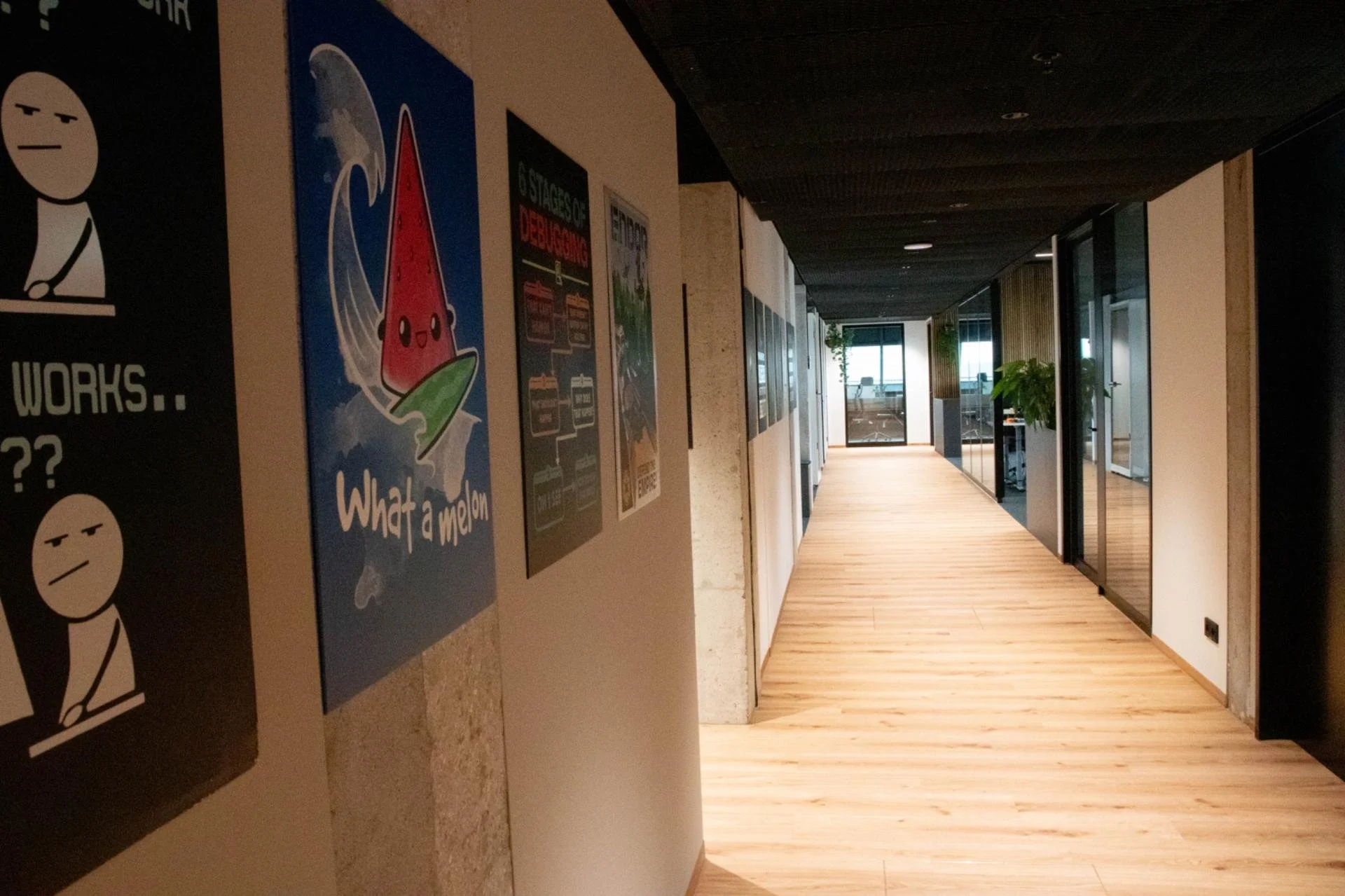 Hallway with wooden flooring, glass doors, and potted plants, with pictures and posters on the wall.