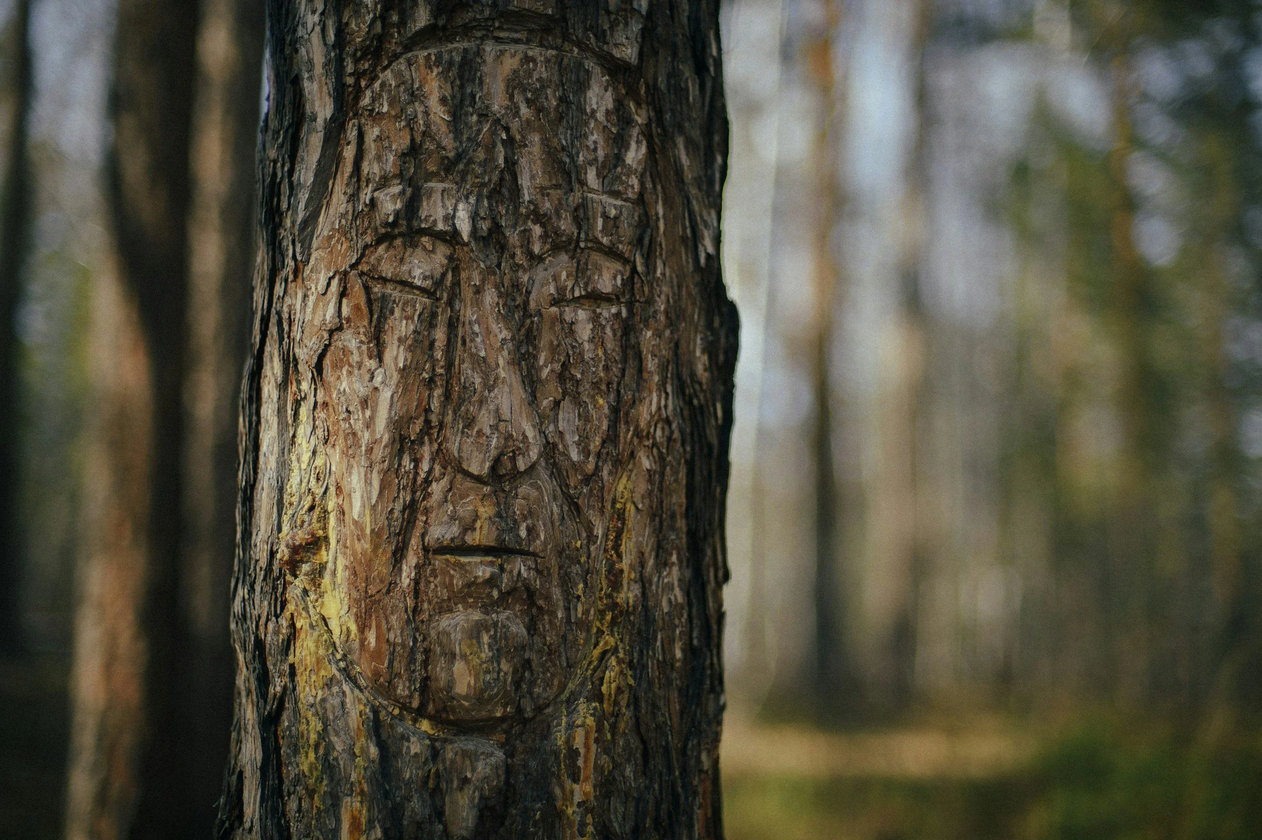 Shamanic Healing Retreat (Kentucky)