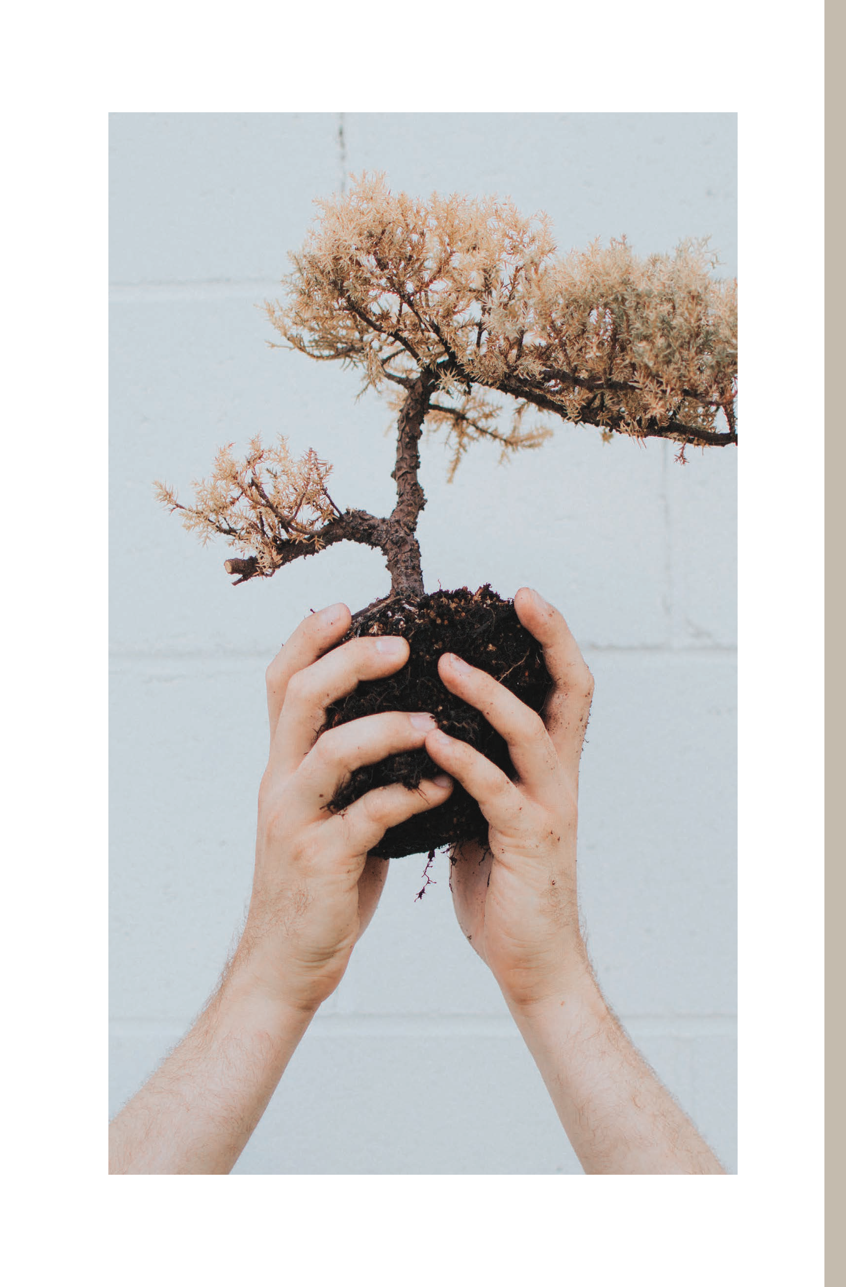 Clean Slate - PDF_Page_08.png